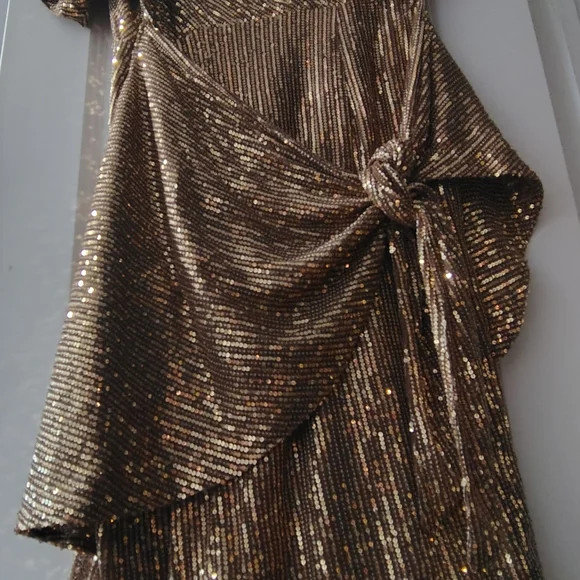 green emerald velvet dress Sequin Dresses for NYE You Can Find on Amazon… – The Blue Hydrangeas – A  Petite Fashion and Lifestyle Blog main image 1